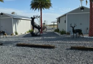 2espacios-airelibre2