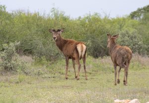 2espacios-airelibre3