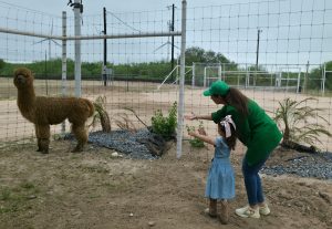 2espacios-airelibre5