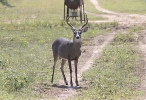 7-hunting-facilities2